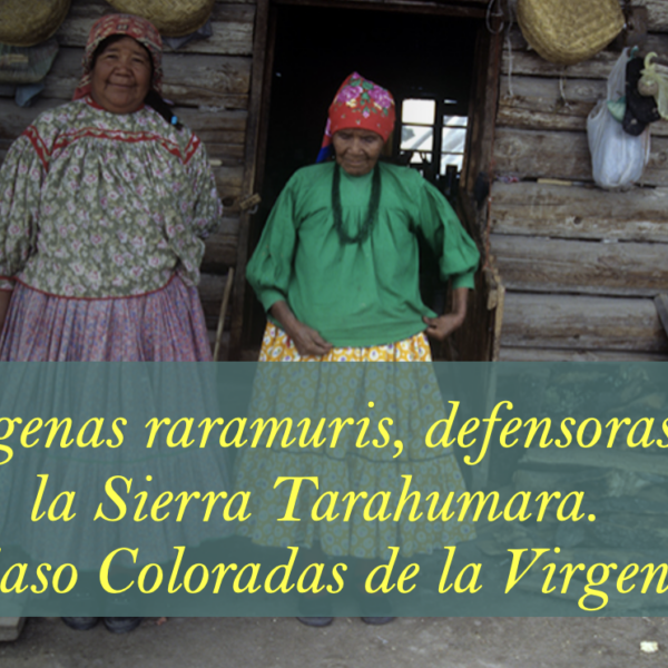 Indígenas raramuris, defensoras de la Sierra Tarahumara. Caso Coloradas de la Virgen